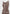 rib-knit-contrast-midaxi-dress-brown-cream