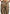 satin-high-waisted-cargo-pants-dark-olive